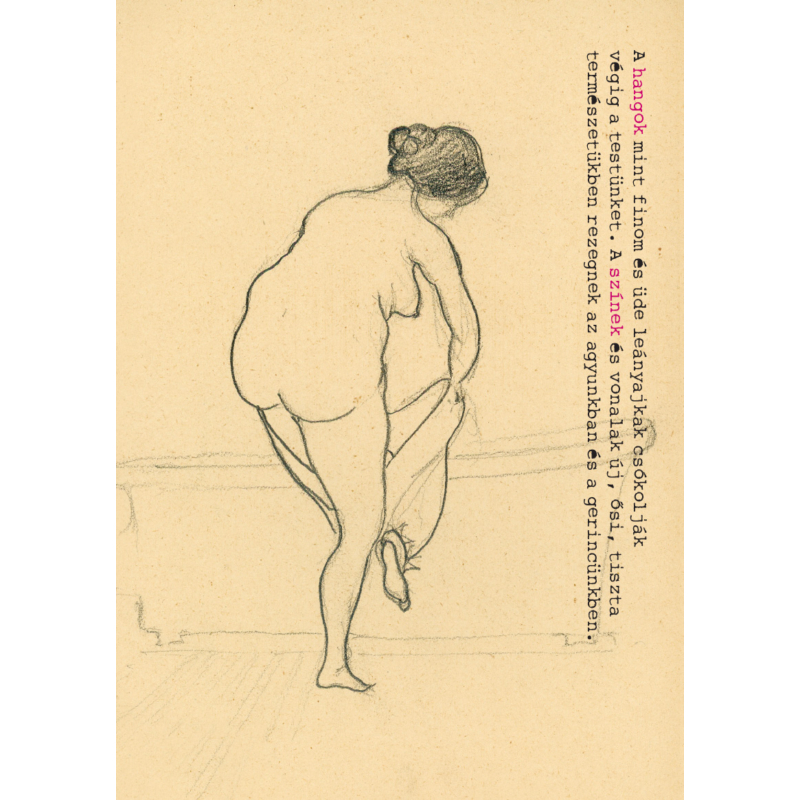 Csáth Géza rajza - női akt - képeslap